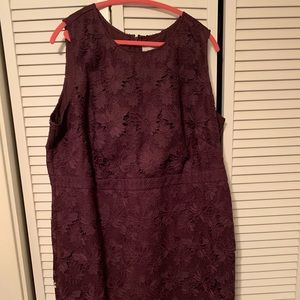LIKE NEW Loft Scallop Dress